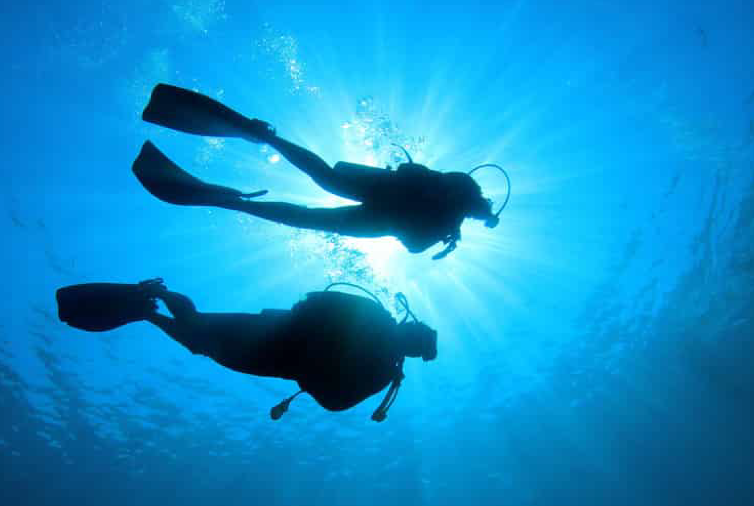 Plongée sous-marine