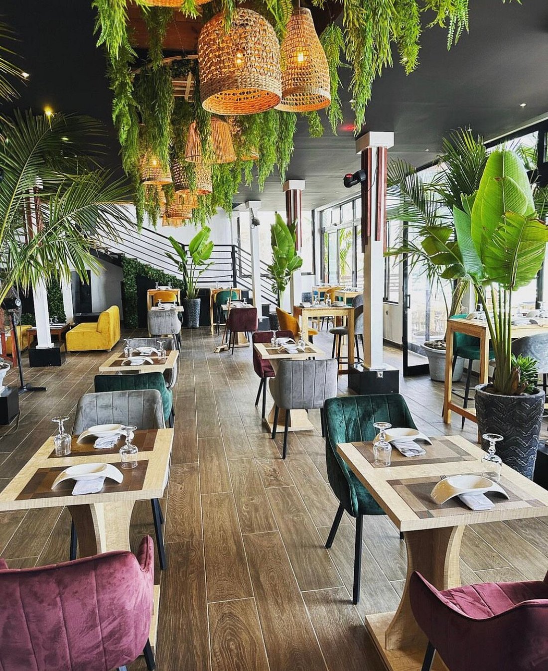 The Jungle